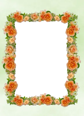 золотая свадебная рамка с цветочными цветами PNG , Приглашение, свадьба,  Цветочный PNG картинки и пнг PSD рисунок для бесплатной загрузки