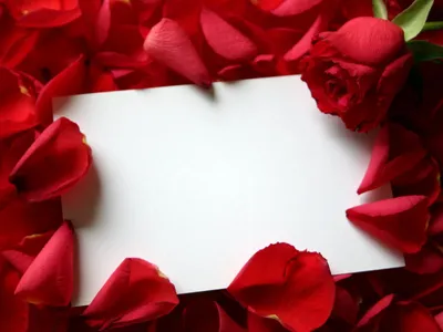 рамка из свежих цветов розы на столе сверху с копией пространства Фото Фон  И картинка для бесплатной загрузки - Pngtree