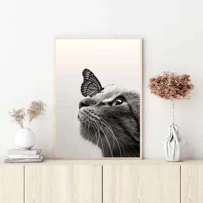 Рамки для с кошками: добавьте яркость и оригинальность вашим фото