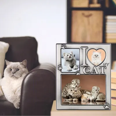Фото рамки для с кошками: стильные варианты для вашего изображения