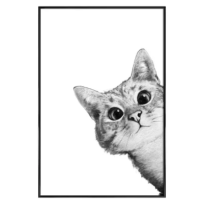 Фото, картинки, изображения рамки для с кошками: бесплатное скачивание в разных форматах
