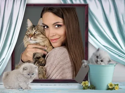 Рамки для с кошками: качественные фото в разных размерах