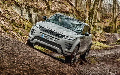 Фото Land Rover Range Rover Evoque - фотографии, фото салона Land Rover  Range Rover Evoque, II поколение