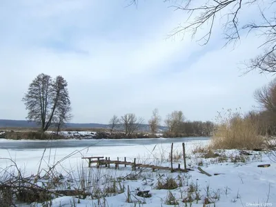 Природные цвета. Ранняя весна