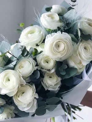 Buy Wholesale White Ranunculus Fresh Cut Flower in Bulk - FiftyFlowers