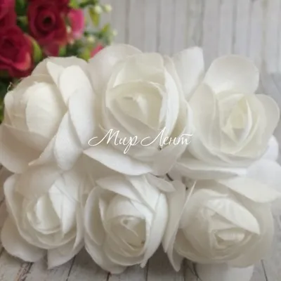 Ranunculus Bulbs - Super Green White | Flower Bulbs | Eden Brothers