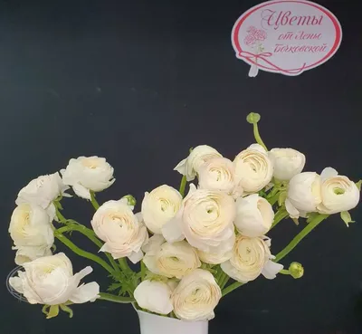 Ранункулюс белый купить с доставкой по Москве wowflor.ru