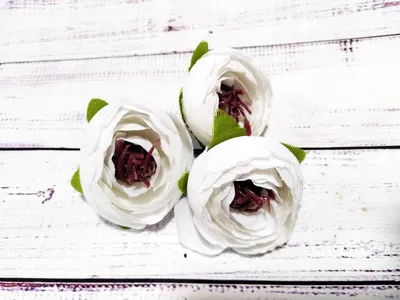 Ranunculus Bulbs - White Picotee | Flower Bulbs | Eden Brothers
