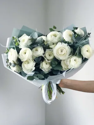 Ranunculus, White Picotee — Flourish Flower Farm