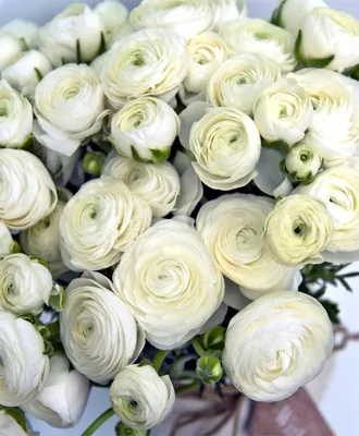 Ранункулюсы белые с эвкалиптом и сухоцветами - купить в Москве | Flowerna