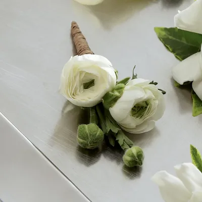 Iceberg White Ranunculus Corms – Plantgem