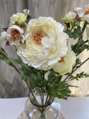 White ranunculus | Posters, Art Prints, Wall Murals | +250 000 motifs