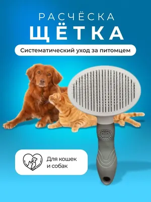 Купить Safari Dog Flea Comb Расческа от блох для собак в Киеве и по всей  Украине - цена, отзывы в зоомагазине Зоодом Бегемот