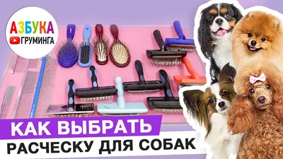Купить Паровая щетка для кошек 3 в 1, расческа для собак с защитой от  летающих волос, портативная электрическая массажная расческа с распылителем  для домашних животных | Joom