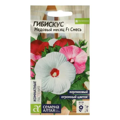 цветов Гибискус Медовый месяц, смесь, 3 шт. / по 1 уп - купить по выгодным  ценам в интернет-магазине OZON (797008893)