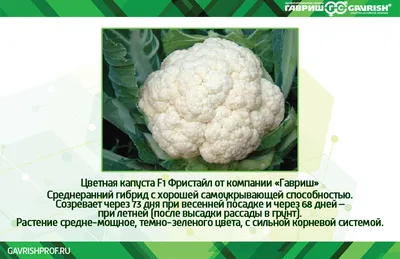 Удобрения для цветной капусты. Чем подкормить цветную капусту? |  Агропромышленный вестник