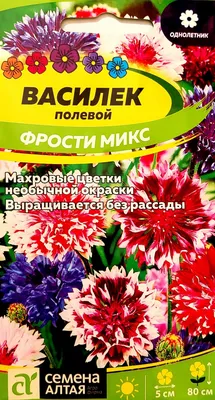 Семена Поиск василек \"Ред Бол\" - «Отличные семена, только он не красный.  Всхожесть 💯 процентов. » | отзывы