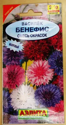 Посадка растений цена Киев, посадка живых заборов, изгородей, стоимость  посадки растений в альпийских горках заказать Киевская область (Белая  Церковь) :: компания Healthy Plants