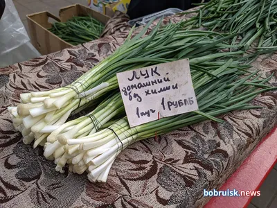 Семена, саженцы и рассада плодово-ягодных культур в Василькове. Сравнить  цены и купить на Prom.ua