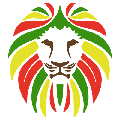 Citizen Rasta T-Shirt – Bob Marley Official Store