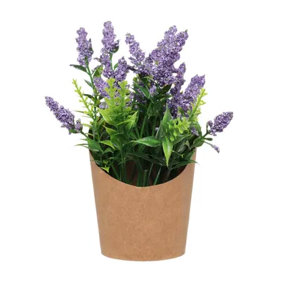 Растение искусственное, 16 см, в крафте, полиэстер/бумага, Лаванда,  Lavender — купить в интернет-магазине Kuchenland Home с доставкой по Москве  и России