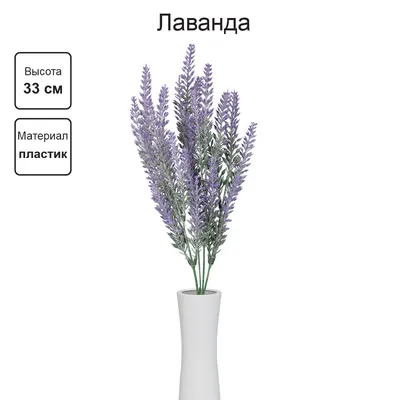 Лаванда в косметике - применение и полезные свойства