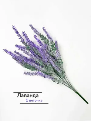 Растение искусственное KoopmanINT Лаванда в горшке 40см купить в  интернет-магазине Доминго