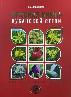 Презентация на тему: \"Растения Краснодарского края!. На территории Краснодарского  края растительность распределяется по зонам. Здесь ярко выражена широтная и  вертикальная зональность.\". Скачать бесплатно и без регистрации.