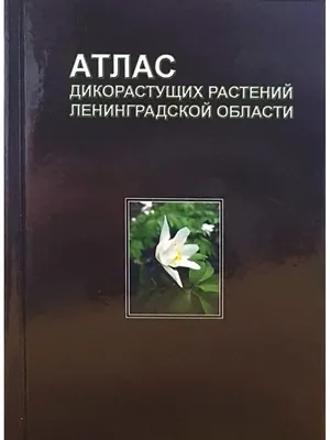 Атлас дикорастущих растений Ленинградской области Товарищество научных  изданий КМК 34884341 купить в интернет-магазине Wildberries