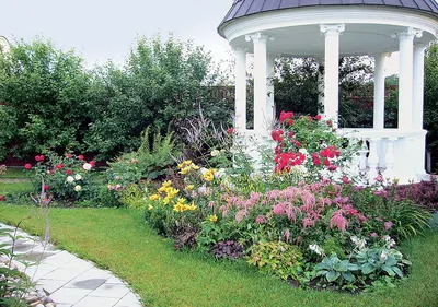 Как красиво оформить садовый участок: изумительные идеи | Идеи озеленения,  Планы садового дизайна, Дизайн озеленение