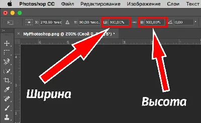 Как растянуть картинку в Photoshop - Уроки по Adobe