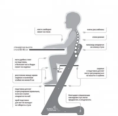 Растущий стул для детей и школьников Конек Горбунек Комфорт, стул для  кормления детский, сандал - купить с доставкой по выгодным ценам в  интернет-магазине OZON (200378584)