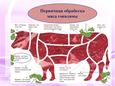 Как разделать тушу барана