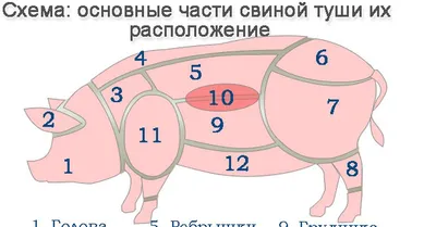 no offtopic} Полезные картинки постить сюда. ;) - Теплый ламповый форум  системных администраторов