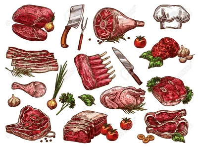 Первичная обработка мяса говядины презентация, доклад, проект