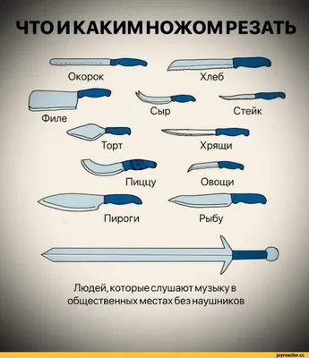 Части мяса говядины названия — какое мясо подходит — Шуба