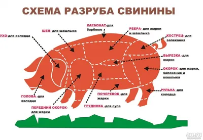 Деликатесы из конины: жал, жая, карта