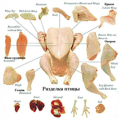 Какие части мяса выбрать для разных блюд — читать на Gastronom.ru