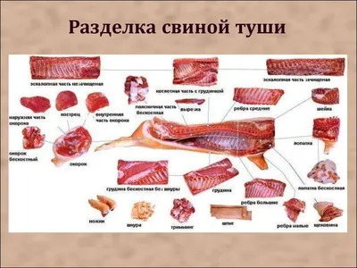 Разделка мяса (баранина,говядина,свинина,птица). Обсуждение на LiveInternet  - Российский Сервис Онлайн-Дневников