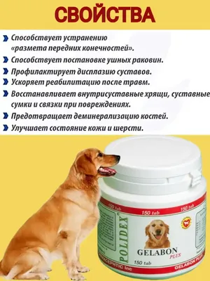 Купить Гелакан Дарлинг профилактика нарушений опорно-двигательного аппарата  собак с доставкой в интернет магазине Москвы