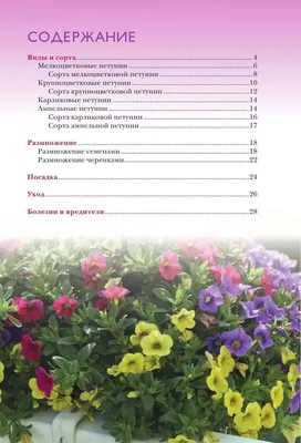 Все о цветах. Петуния: посадка, уход, размножение и борьба с вредителями