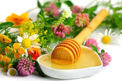Купить мёд разнотравье по низкой цене с доставкой по России от компании  \"Берлога Здоровья\"