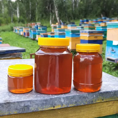 Мед разнотравье: полезные свойства и противопоказания