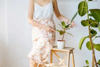 Висячие сады: 10 неприхотливых подвесных растений | myDecor