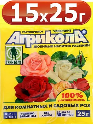 Продаем китайские розы, по 5000 .: 5000 KGS ➤ Другие комнатные растения |  Бишкек | 55095599 ᐈ lalafo.kg