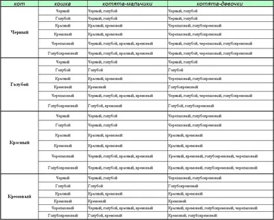 Очаровательные изображения различных видов мейн-кунов