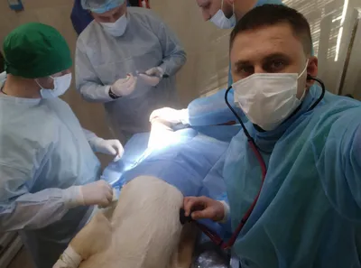 Повреждение крестообразной связки операция в клинике Линько, Киев