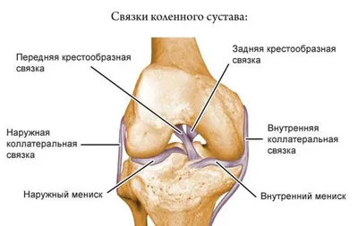 Артроскопическая пластика связок коленного сустава в Москве, цены,  консультация врача-травматолога| Клиника «Ваш Доктор»