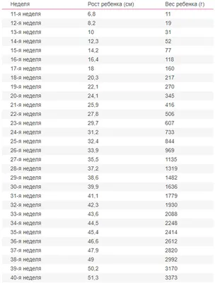 Развитие плода по неделям беременности: вес, рост, расположение, этапы