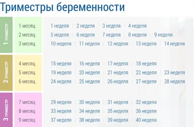 9 неделя беременности: узи плода на девятой неделе